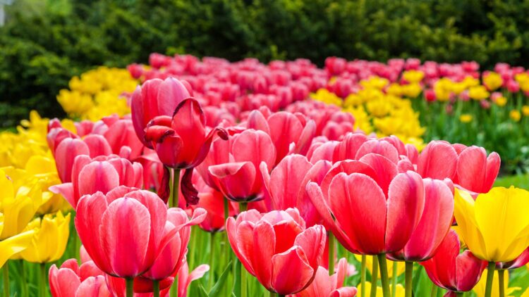 Voyages Plein Soleil