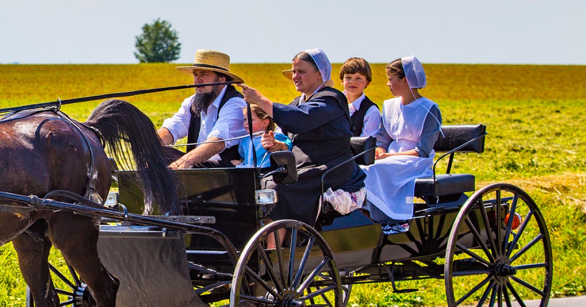 Philadelphie, les jardins de Longwoods et les Amish-Gettysburg-Hershey