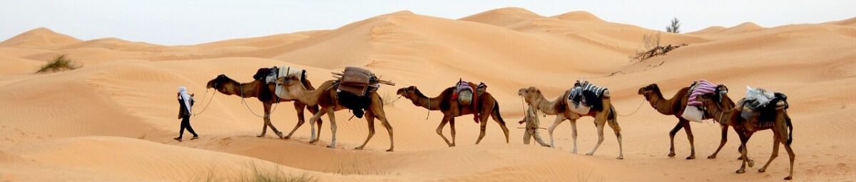 Voyages Plein Soleil