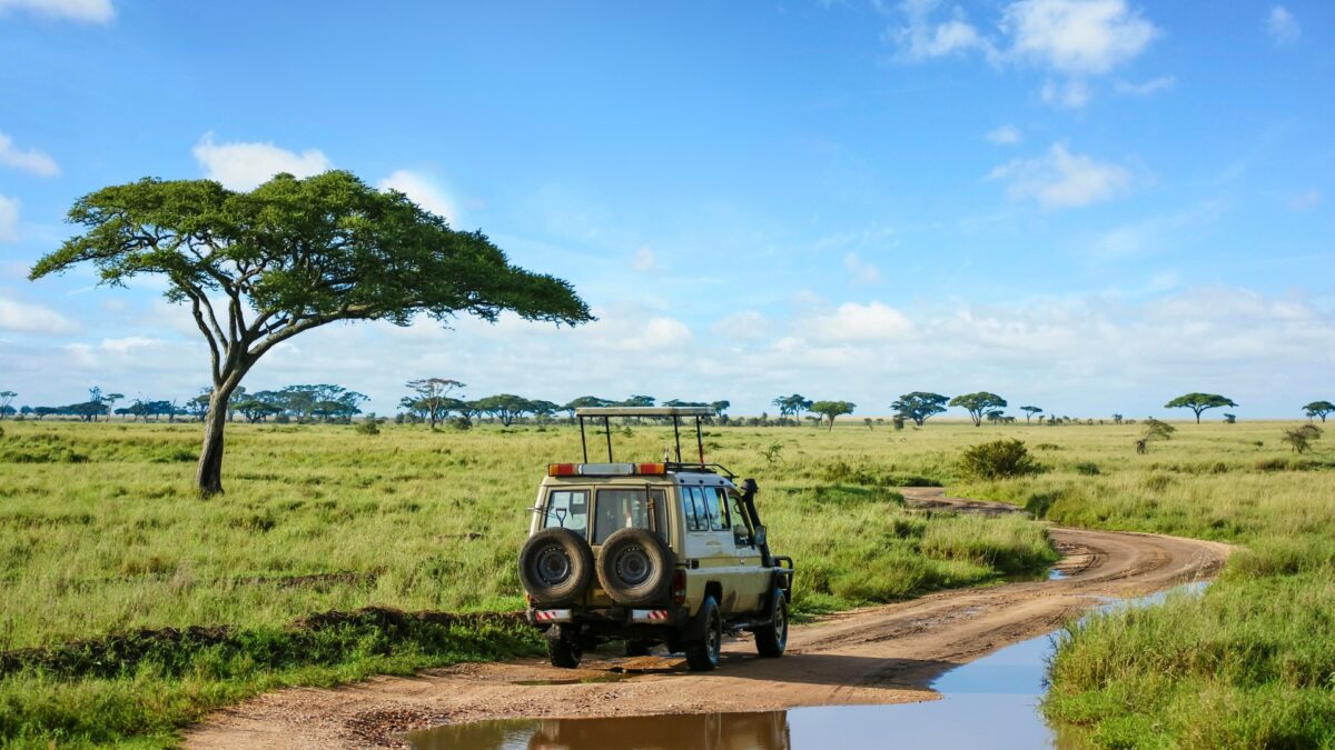 Tanzanie & Séjour détente à Zanzibar