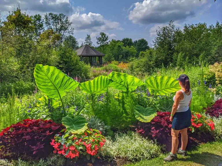 Une journée au Parc Marie-Victorin