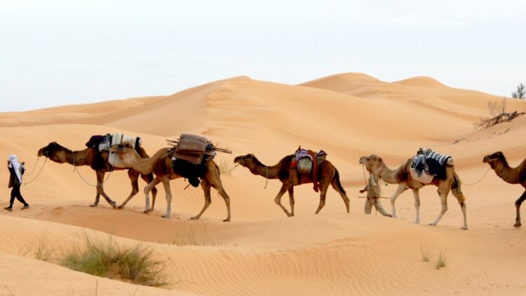 desert Voyages Plein Soleil