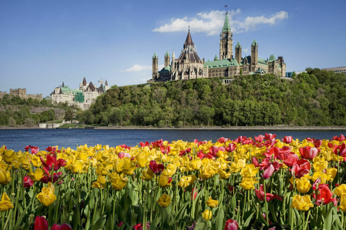 Festival des tulipes