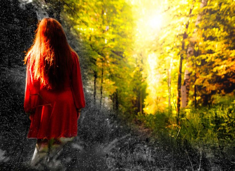 Voyages Plein Soleil