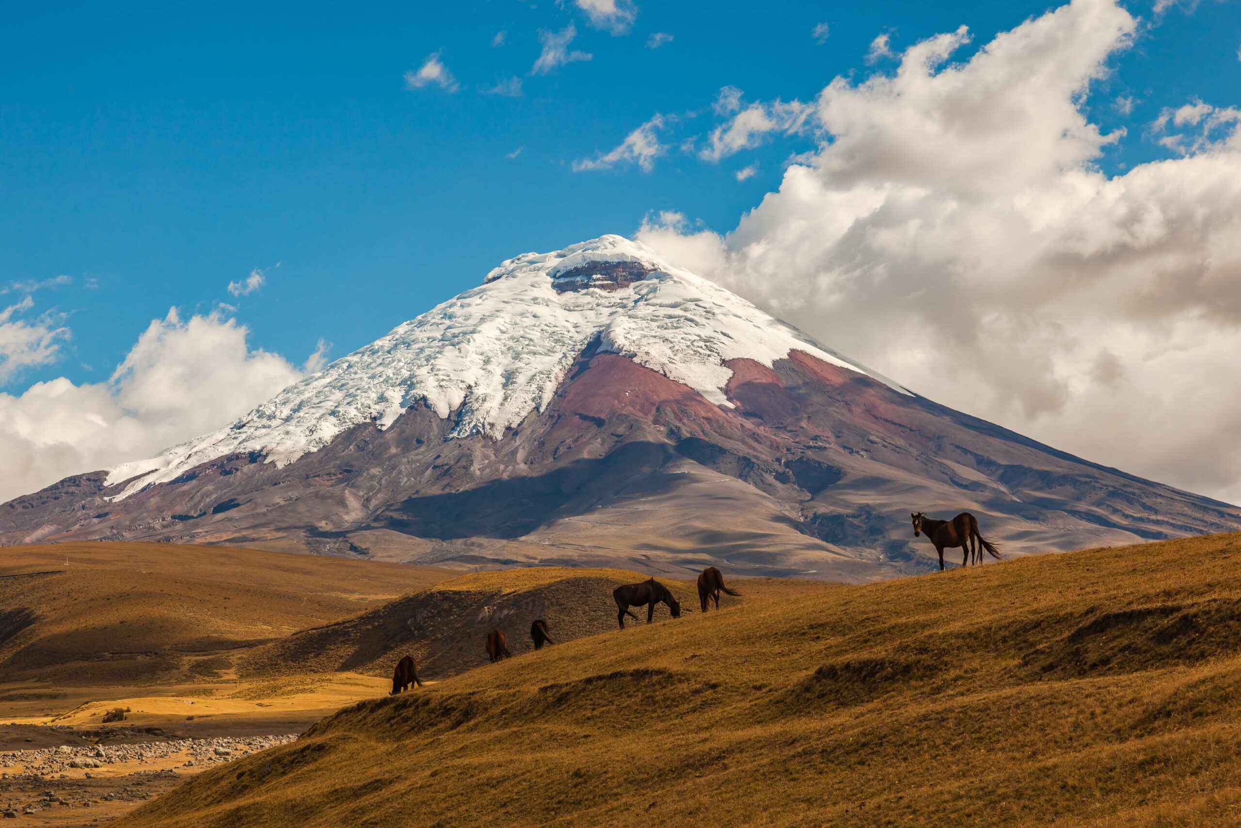 Volcan Cotopaxi, Quito, Équateur