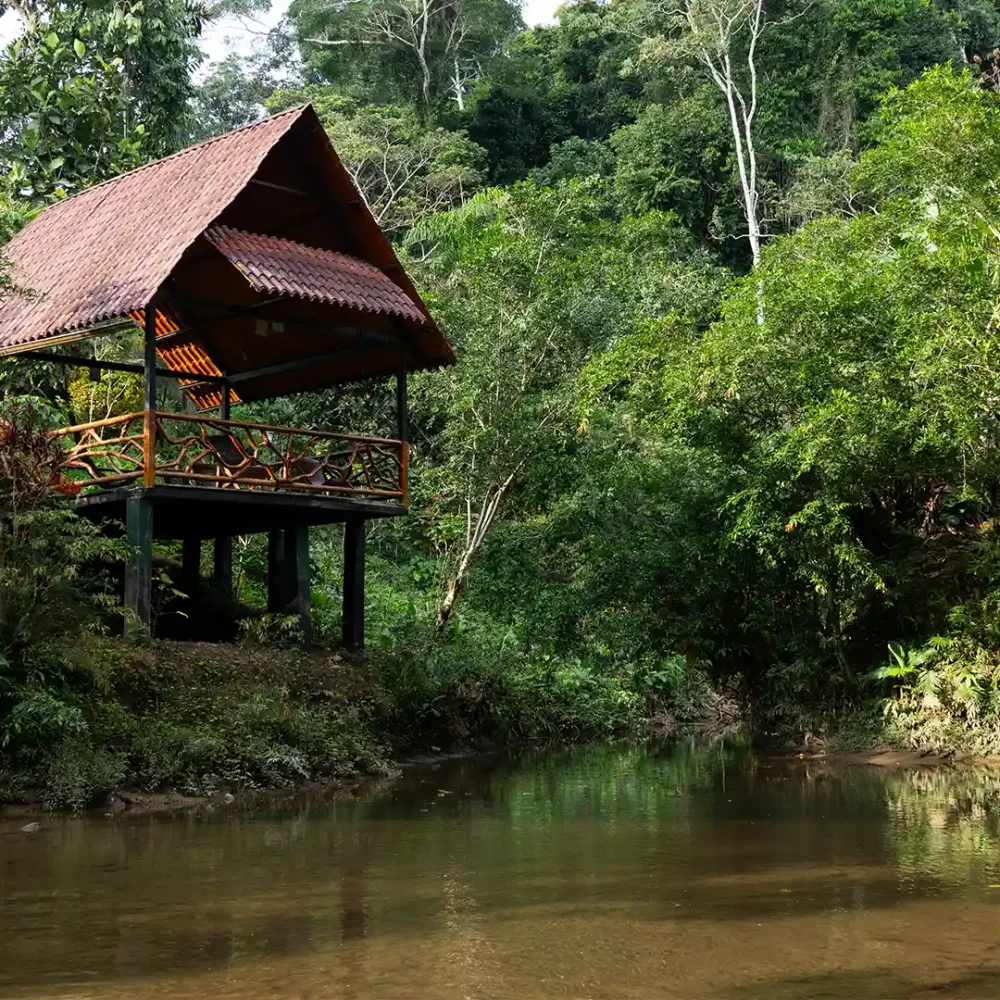 Yacuma Ecolodge, Napo, Équateur