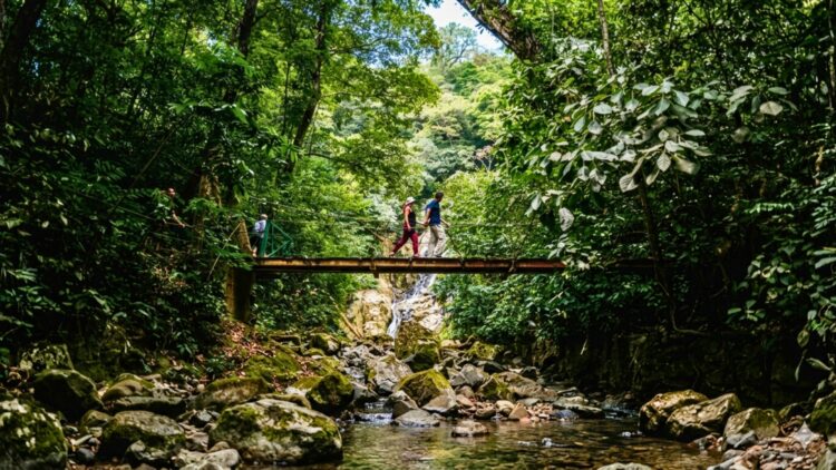 Voyages Plein Soleil