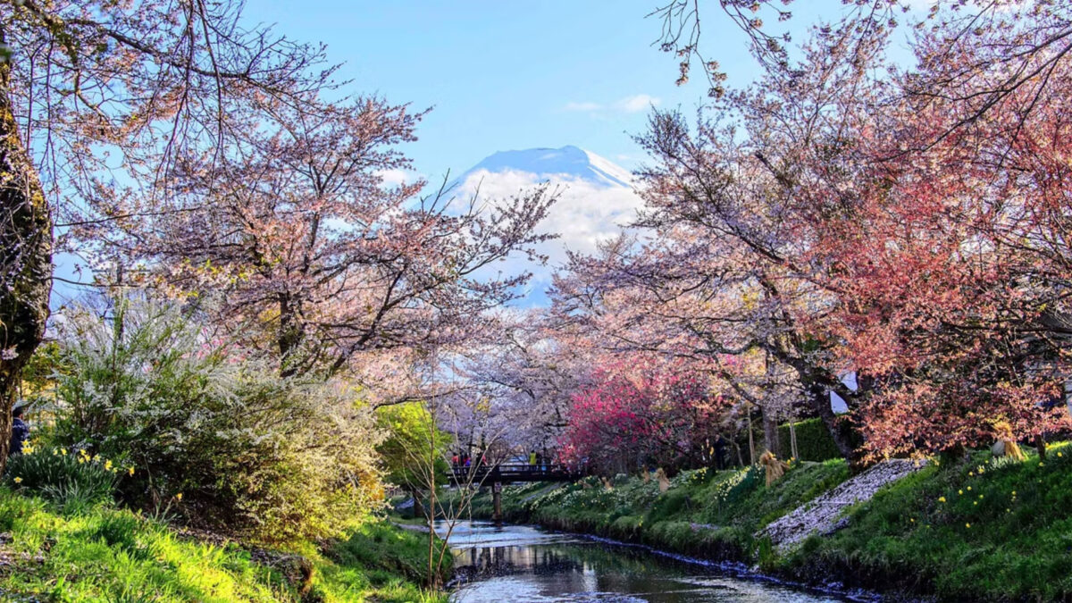 Croisière Japon & Corée du Sud