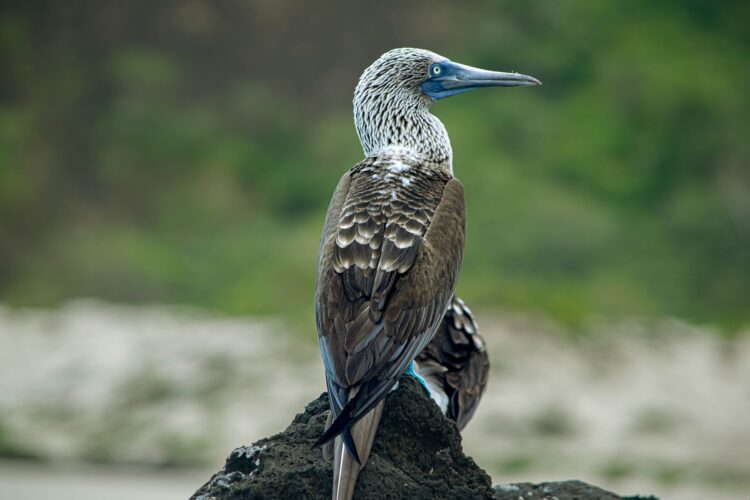 Voyages Plein Soleil
