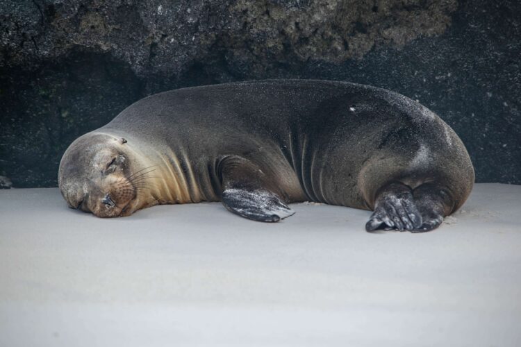 Voyages Plein Soleil