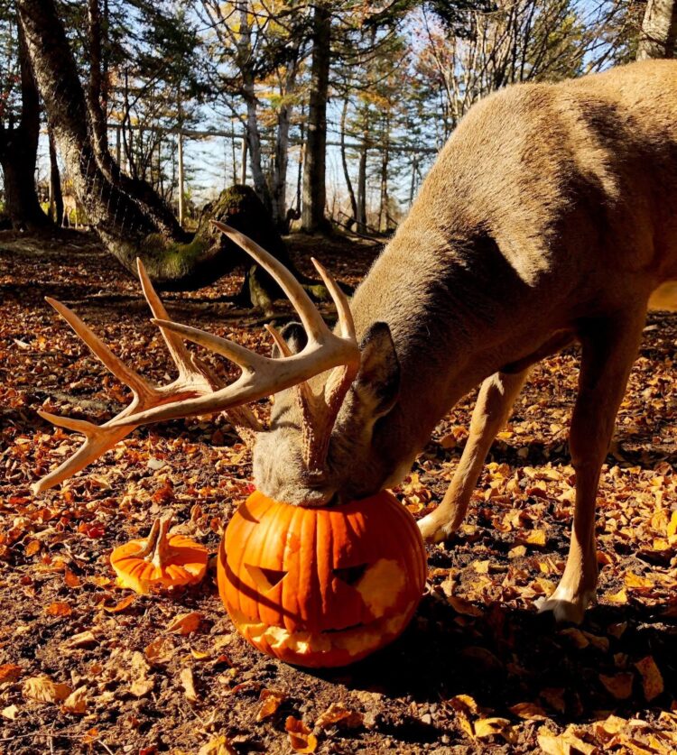 Voyages Plein Soleil