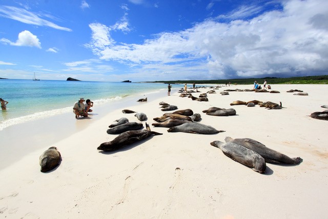 Galápagos