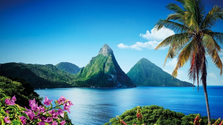 Les Pitons de Soufrière à Sainte-Lucie près de Castries dans les Caraïbes