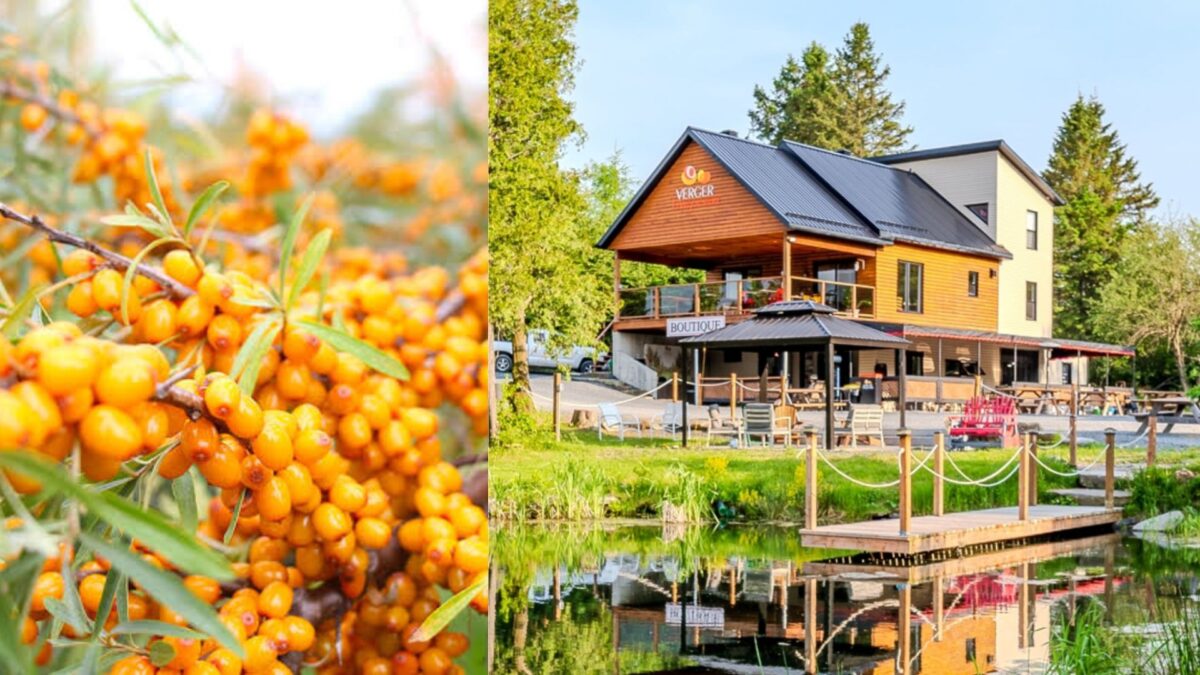 La Beauce gourmande